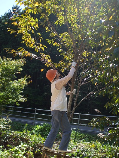 DSCF2195s.jpg