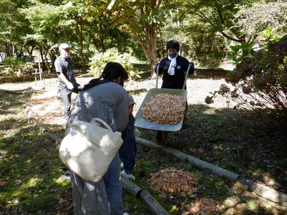 DSCF0476.JPG