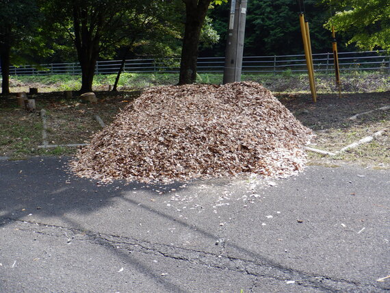 DSCF2100.JPG