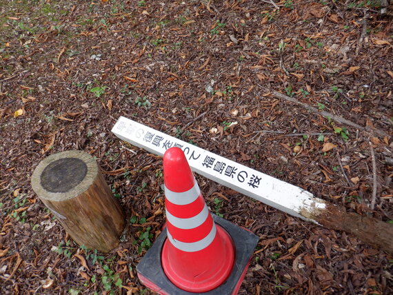 DSCF2106.JPG