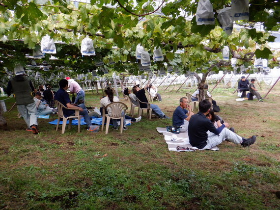 DSCF2205.JPG