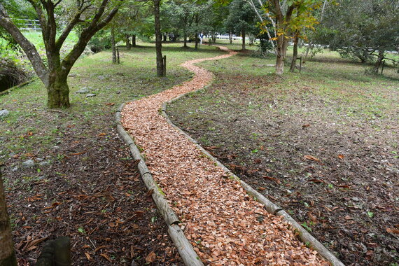 DSC_0938.JPG