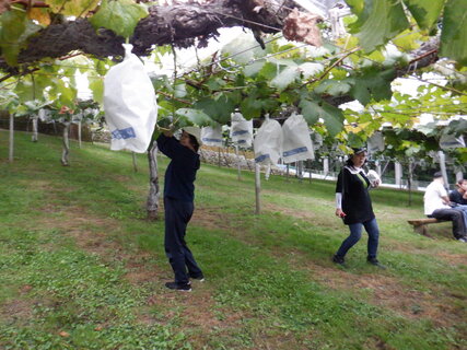 DSCF2993.JPG