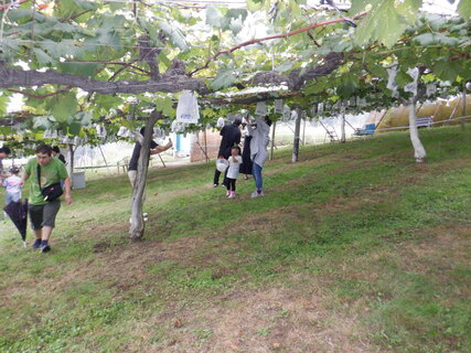 DSCF2994.JPG